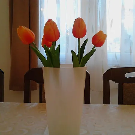 Apartament Robert